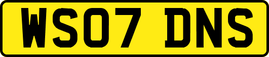 WS07DNS