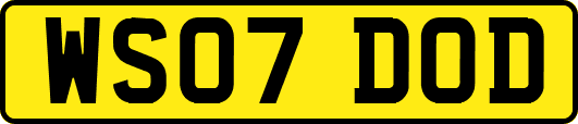 WS07DOD