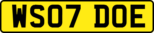 WS07DOE