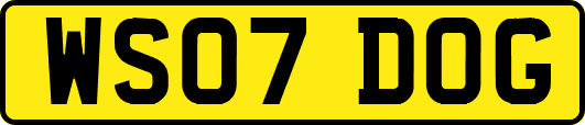 WS07DOG