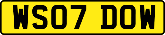 WS07DOW