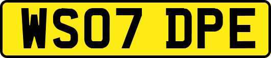 WS07DPE