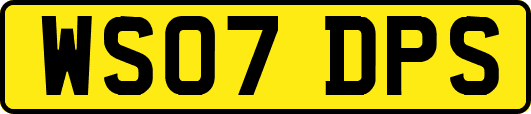 WS07DPS