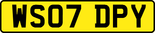 WS07DPY