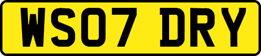 WS07DRY