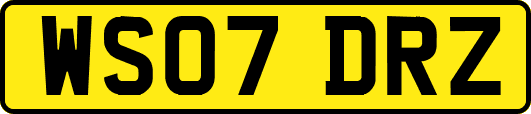 WS07DRZ