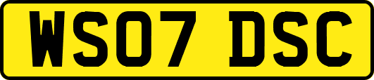 WS07DSC