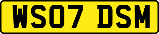 WS07DSM