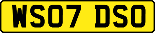 WS07DSO