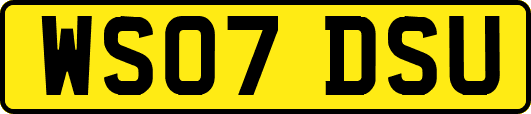 WS07DSU
