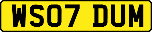 WS07DUM