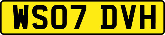 WS07DVH