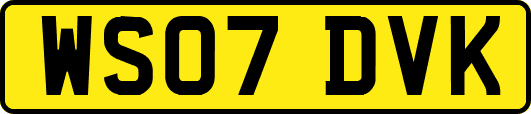 WS07DVK