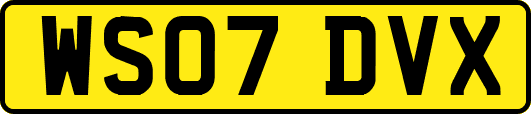 WS07DVX