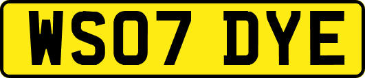 WS07DYE