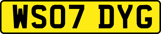 WS07DYG