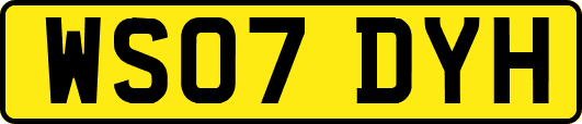 WS07DYH