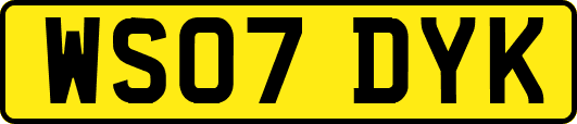 WS07DYK