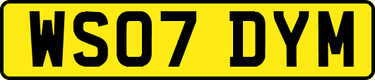 WS07DYM