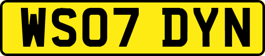WS07DYN
