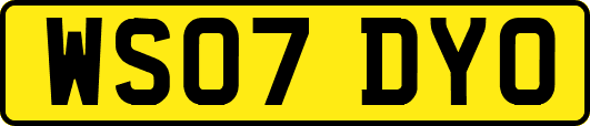 WS07DYO