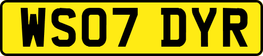 WS07DYR