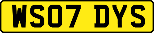 WS07DYS