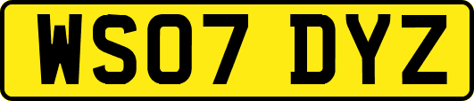 WS07DYZ