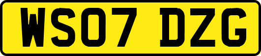 WS07DZG