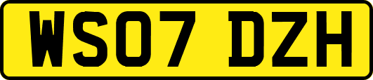 WS07DZH