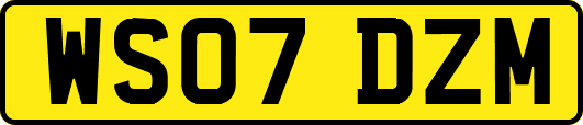 WS07DZM