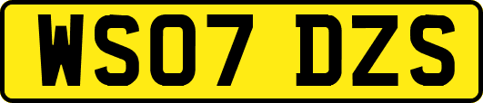 WS07DZS