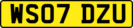 WS07DZU