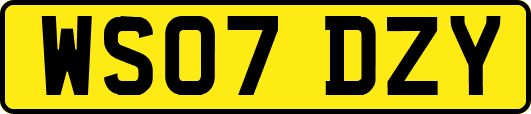 WS07DZY