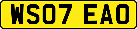 WS07EAO