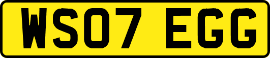 WS07EGG