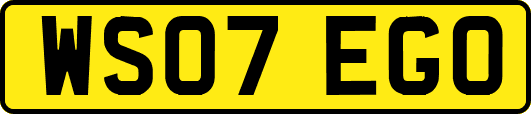 WS07EGO