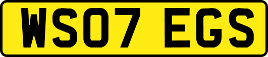 WS07EGS