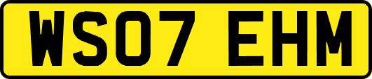 WS07EHM