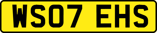 WS07EHS