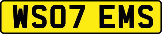 WS07EMS