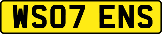 WS07ENS