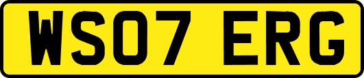 WS07ERG