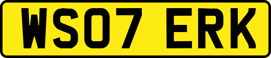 WS07ERK