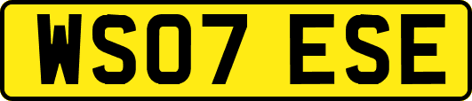 WS07ESE