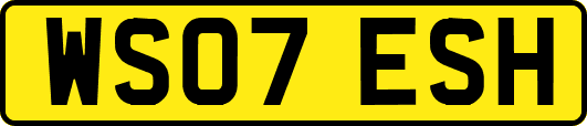 WS07ESH