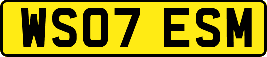 WS07ESM