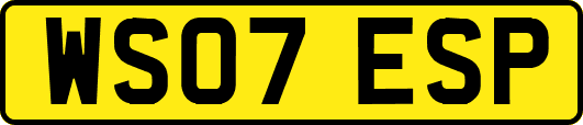 WS07ESP