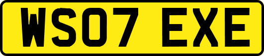 WS07EXE