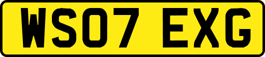 WS07EXG